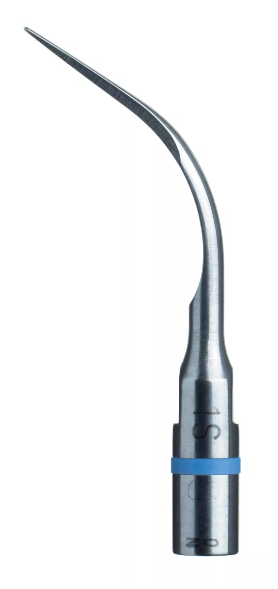 ACTEON Insert 1S Satelec
