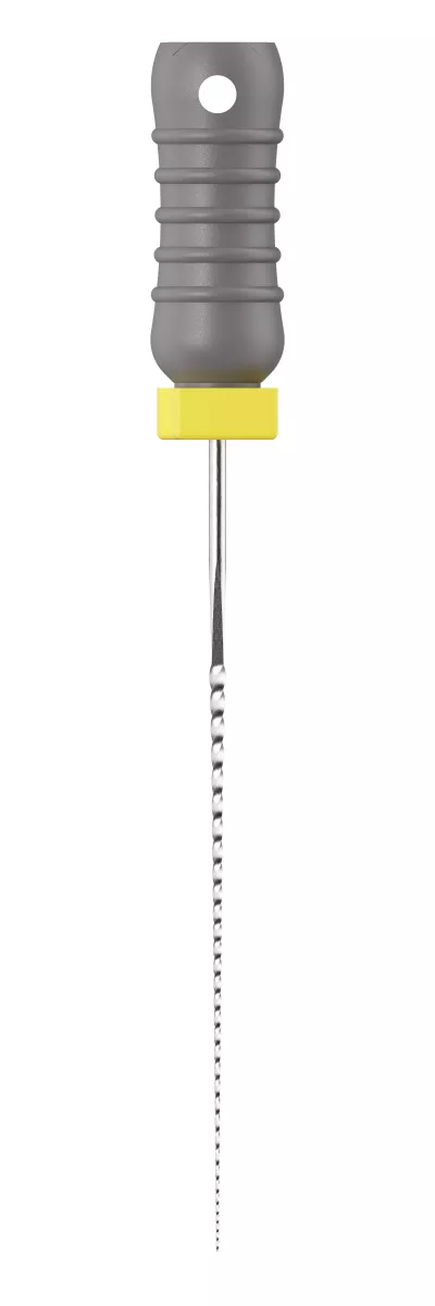 D-Perfect K Files Sst, #08, 31mm