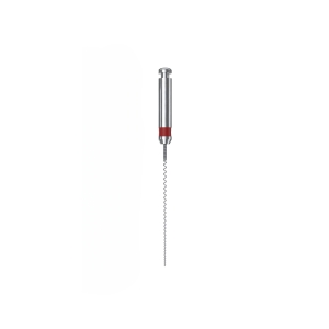 D-Perfect Paste Carriers, ISO 25, Sst, 25mm